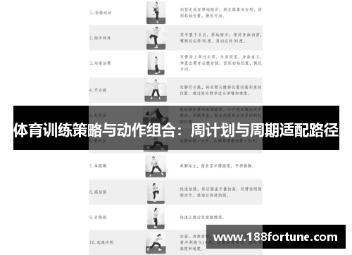 体育训练策略与动作组合：周计划与周期适配路径
