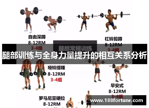 腿部训练与全身力量提升的相互关系分析