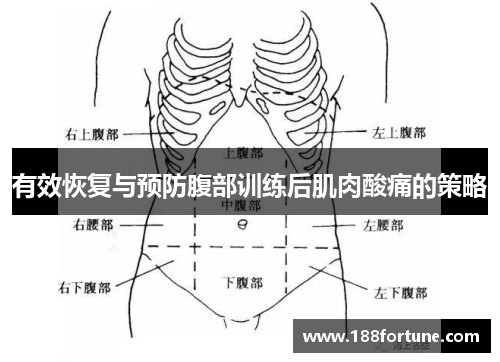 有效恢复与预防腹部训练后肌肉酸痛的策略